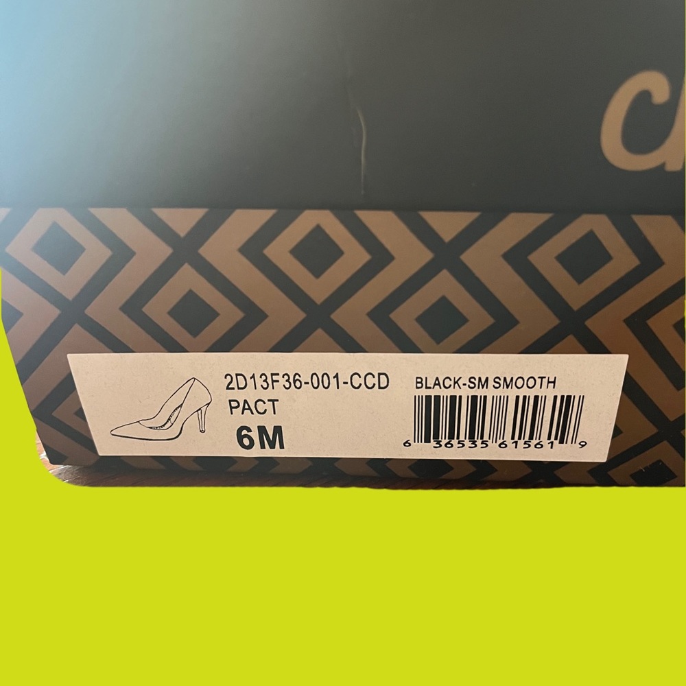 Charles David shoes size 6M.